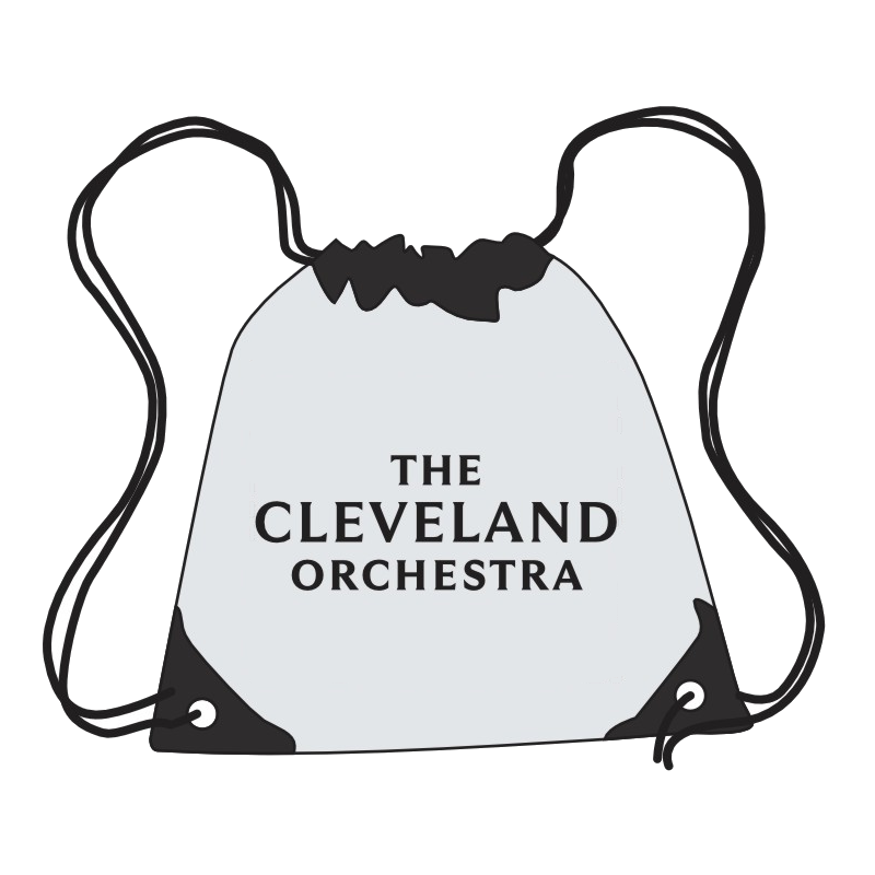 TCO Stadium Bag